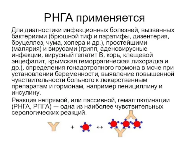 РНГА применяется Для диагностики инфекционных болезней, вызванных бактериями (брюшной тиф