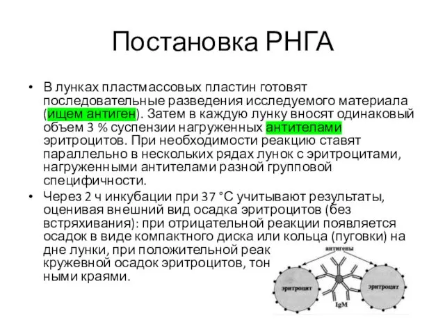 Постановка РНГА В лунках пластмассовых пластин готовят последовательные разведения исследуемого