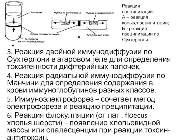 3. Реакция двойной иммунодиффузии по Оухтерлони в агаровом геле для