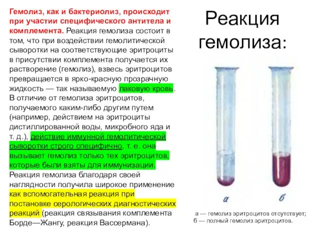 Реакция гемолиза: Гемолиз, как и бактериолиз, происходит при участии специфического