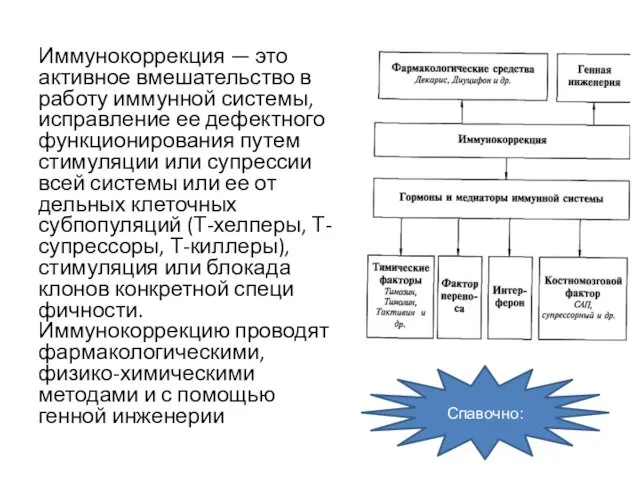 Иммунокоррекция — это активное вмешательство в работу иммунной системы, исправление