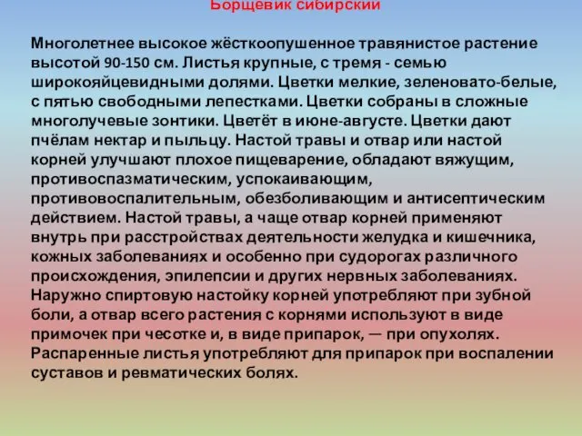 Борщевик сибирский Многолетнее высокое жёсткоопушенное травянистое растение высотой 90-150 см.