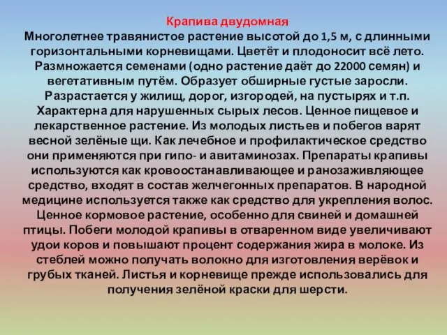 Крапива двудомная Многолетнее травянистое растение высотой до 1,5 м, с