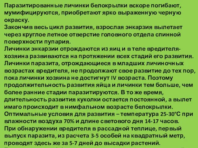 Паразитированные личинки белокрылки вскоре погибают, мумифицируются, приобретают ярко выраженную черную