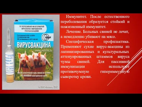 Иммунитет. После естественного переболевания образуется стойкий и пожизненный иммунитет. Лечение.