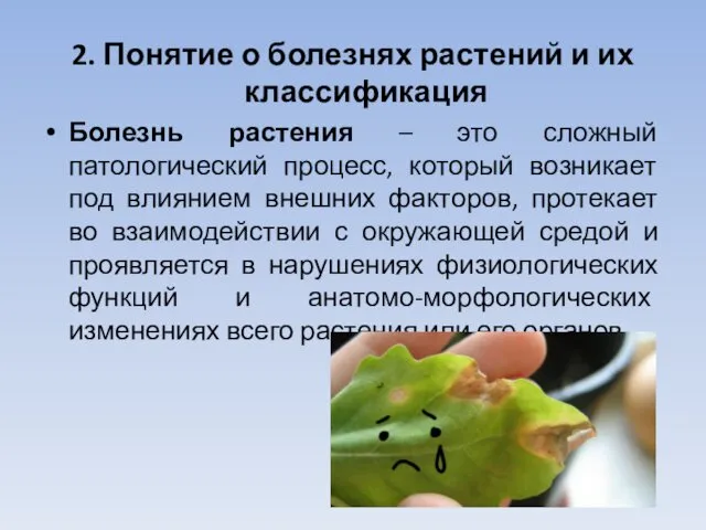 2. Понятие о болезнях растений и их классификация Болезнь растения