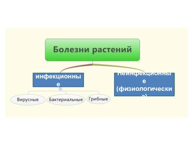 инфекционные Неинфекционные (физиологические)