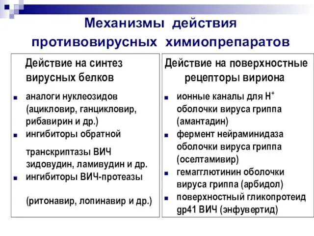 Действие на синтез вирусных белков аналоги нуклеозидов (ацикловир, ганцикловир, рибавирин