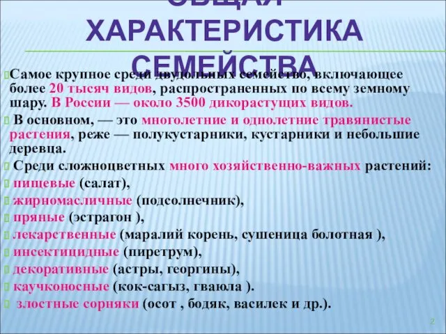 ОБЩАЯ ХАРАКТЕРИСТИКА СЕМЕЙСТВА Самое крупное среди двудольных семейство, включающее более