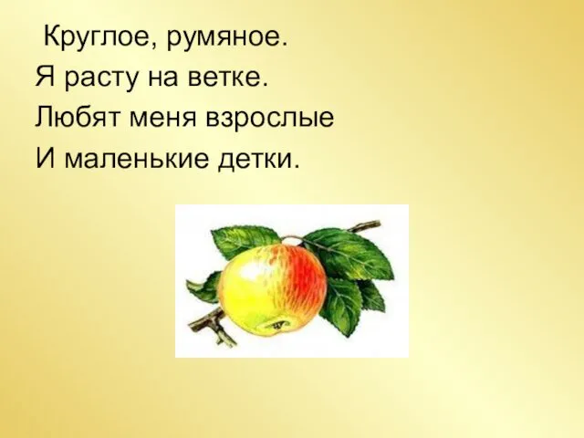 Круглое, румяное. Я расту на ветке. Любят меня взрослые И маленькие детки.