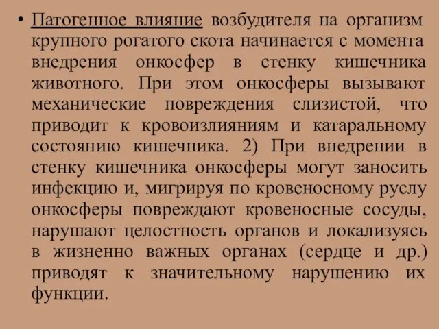 Патогенное влияние возбудителя на организм крупного рогатого скота начинается с