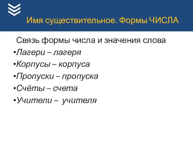 Имя существительное. Формы ЧИСЛА Связь формы числа и значения слова