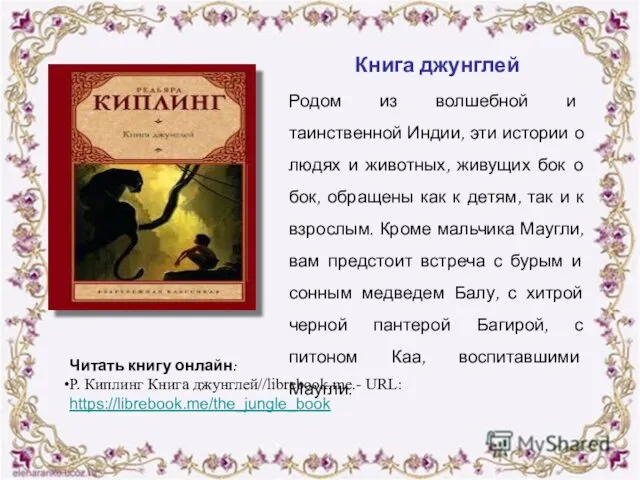 Книга джунглей Родом из волшебной и таинственной Индии, эти истории