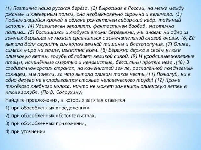 (1) Поэтична наша русская берёза. (2) Выросшая в России, на