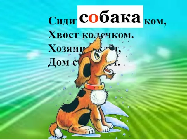 Сидит под крылечком, Хвост колечком. Хозяина ждёт, Дом стережёт. собака