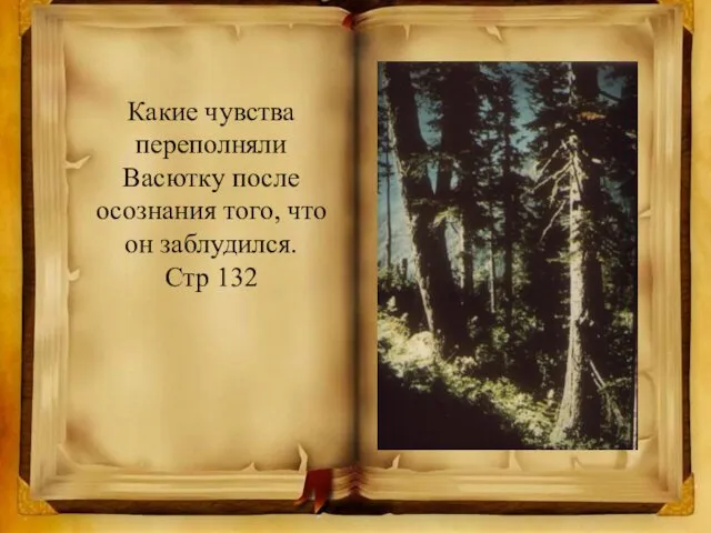 Какие чувства переполняли Васютку после осознания того, что он заблудился. Стр 132