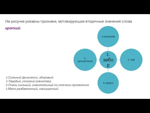 На рисунке указаны признаки, мотивирующие вторичные значения слова крепкий: 2.Сильный