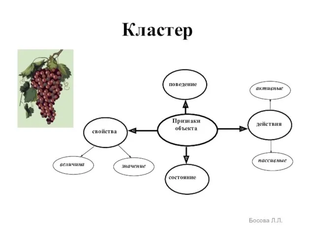 Кластер Босова Л.Л.