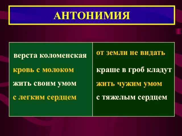 АНТОНИМИЯ