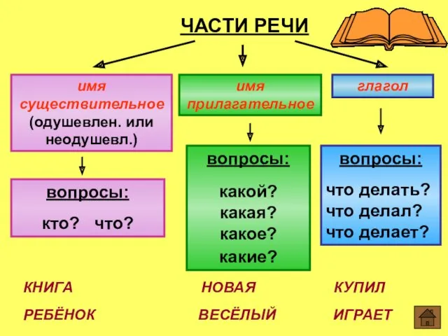 ЧАСТИ РЕЧИ имя существительное (одушевлен. или неодушевл.) вопросы: кто? что?