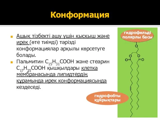 Конформация Ашық тізбекті ашу үшін қысқыш және ирек (өте тиімді)