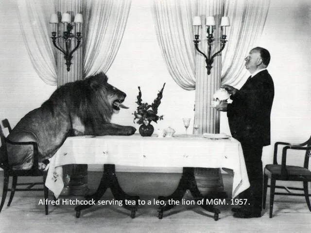 Alfred Hitchcock serving tea to a leo, the lion of MGM. 1957.
