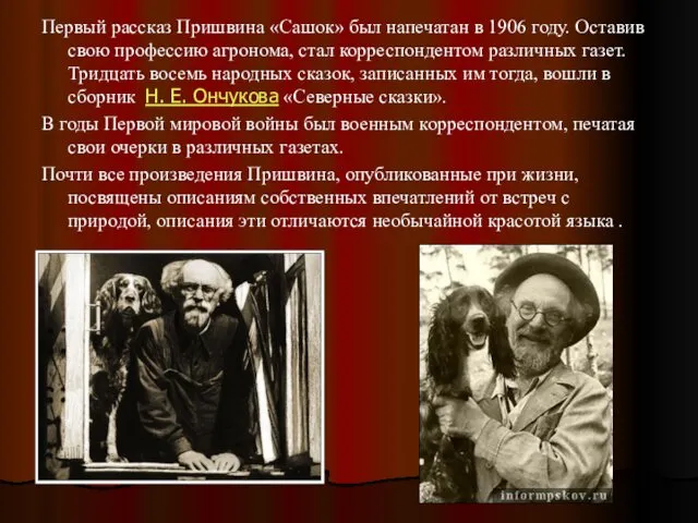 Первый рассказ Пришвина «Сашок» был напечатан в 1906 году. Оставив