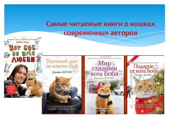 Самые читаемые книги о кошках современных авторов