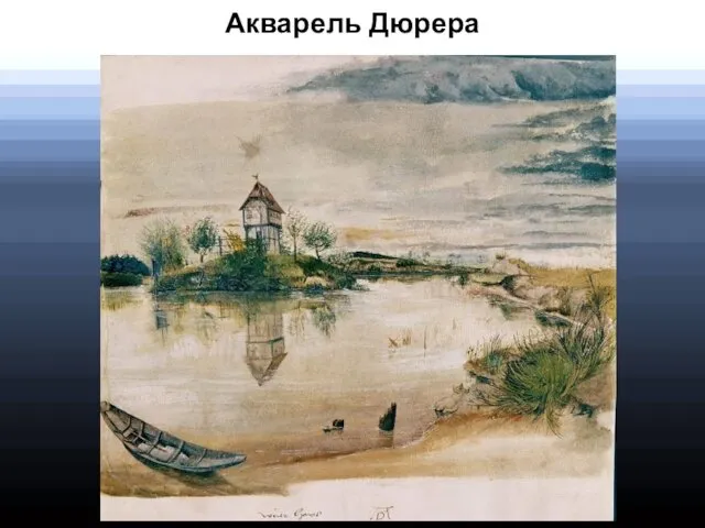 Акварель Дюрера