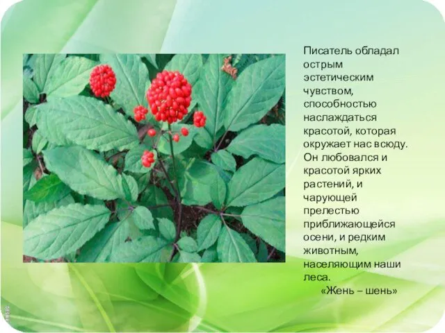 Писатель обладал острым эстетическим чувством, способностью наслаждаться красотой, которая окружает