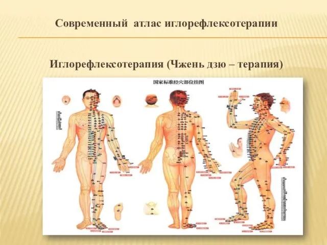 Современный атлас иглорефлексотерапии Иглорефлексотерапия (Чжень дзю – терапия)