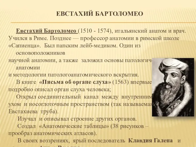 ЕВСТАХИЙ БАРТОЛОМЕО Евстахий Бартоломео (1510 - 1574), итальянский анатом и