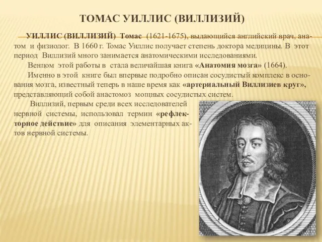 ТОМАС УИЛЛИС (ВИЛЛИЗИЙ) УИЛЛИС (ВИЛЛИЗИЙ) Томас (1621-1675), выдающийся английский врач,