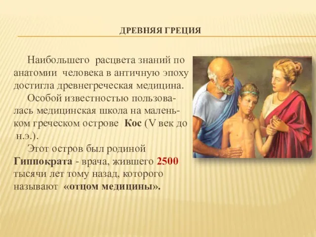 ДРЕВНЯЯ ГРЕЦИЯ Наибольшего расцвета знаний по анатомии человека в античную