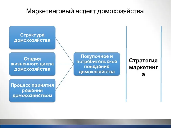 Стратегия маркетинга Маркетинговый аспект домохозяйства