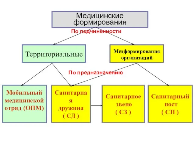 Медицинские формирования Мобильный медицинской отряд (ОПМ) Санитарная дружина ( СД