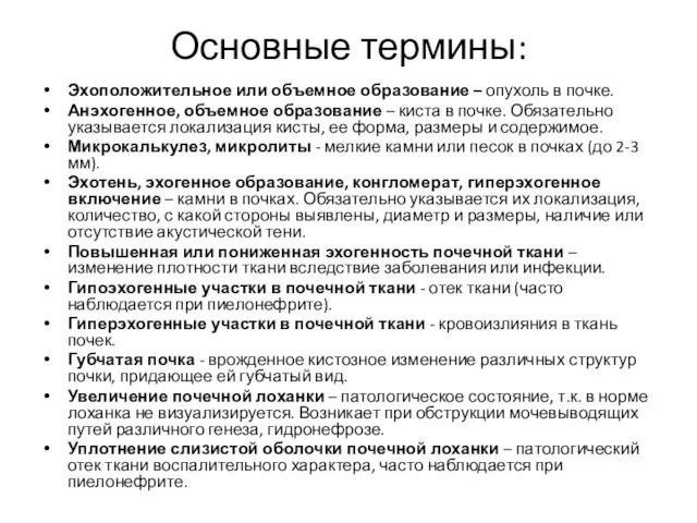 Основные термины: Эхоположительное или объемное образование – опухоль в почке.