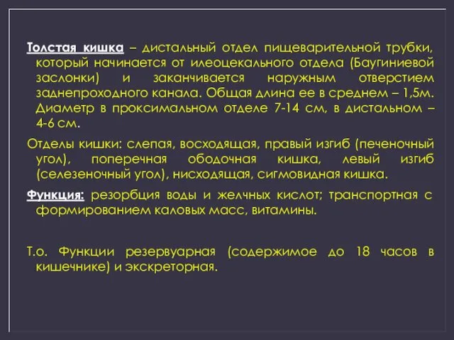 Толстая кишка – дистальный отдел пищеварительной трубки, который начинается от