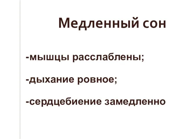 Медленный сон мышцы расслаблены; дыхание ровное; сердцебиение замедленно