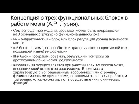 Концепция о трех функциональных блоках в работе мозга (А.Р. Лурия).