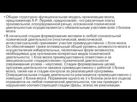 Общая структурно-функциональная модель организации мозга, предложенная А.Р. Лурией, предполагает, что