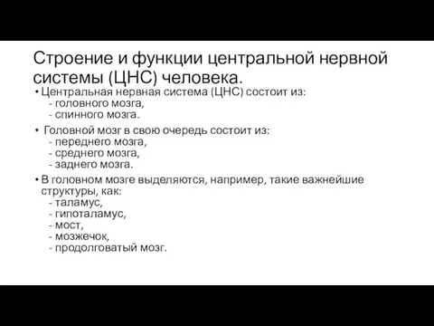 Строение и функции центральной нервной системы (ЦНС) человека. Центральная нервная