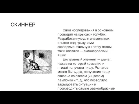 СКИННЕР Свои исследования в основном проводил на крысах и голубях.