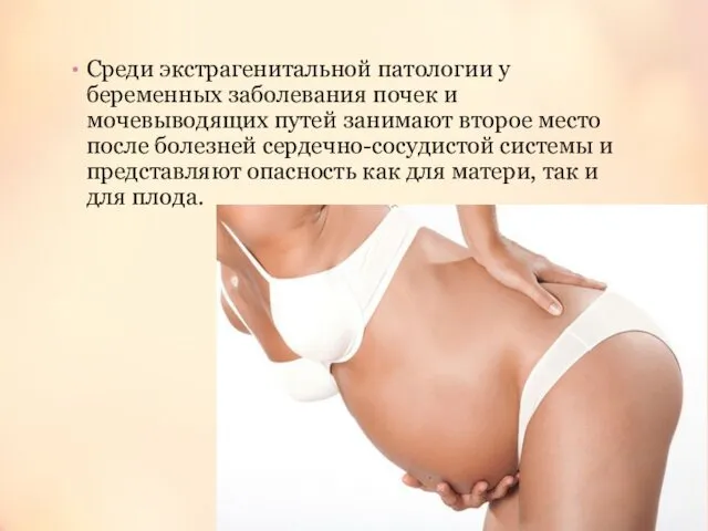 Среди экстрагенитальной патологии у беременных заболевания почек и мочевыводящих путей