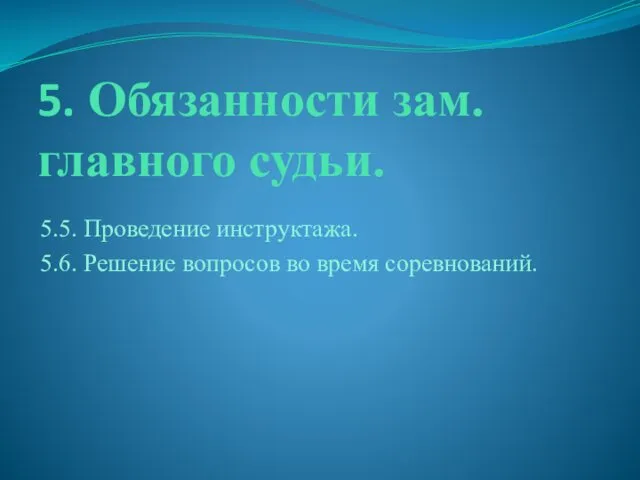 5. Обязанности зам. главного судьи. 5.5. Проведение инструктажа. 5.6. Решение вопросов во время соревнований.