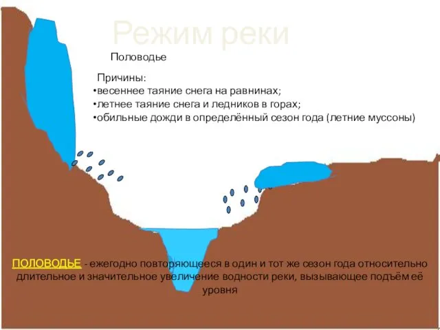 Режим реки Половодье Причины: весеннее таяние снега на равнинах; летнее