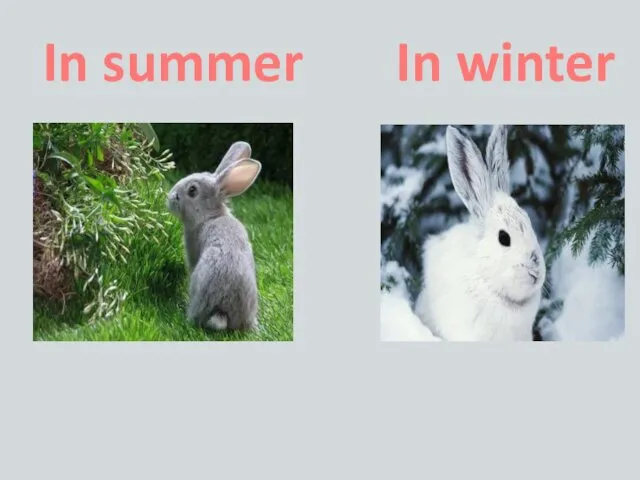 In summer In winter