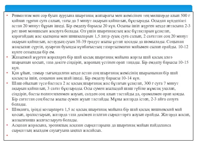 Ревматизм мен сор буын ауруына шырғанақ жапырағы мен жемісінен тең