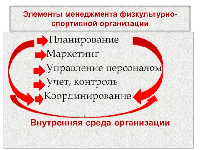 Элементы менеджмента физкультурно-спортивной организации Планирование Маркетинг Управление персоналом Учет, контроль Координирование Внутренняя среда организации