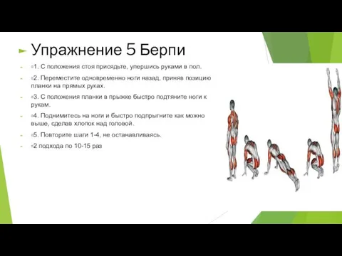 Упражнение 5 Берпи 1. С положения стоя присядьте, упершись руками